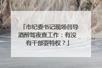 市纪委书记现场督导酒醉驾夜查工作：有没有干部耍特权？