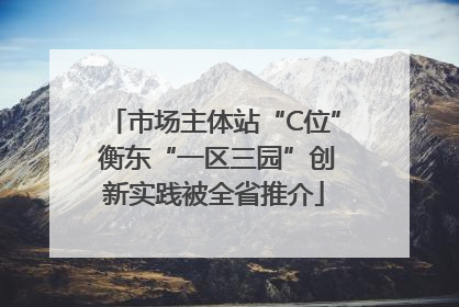 市场主体站“C位” 衡东“一区三园”创新实践被全省推介