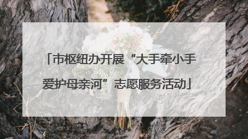 市枢纽办开展“大手牵小手 爱护母亲河”志愿服务活动