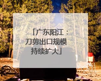 广东阳江：刀剪出口规模持续扩大