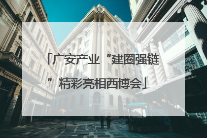 广安产业“建圈强链”精彩亮相西博会