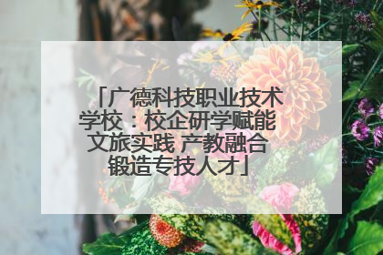 广德科技职业技术学校：校企研学赋能文旅实践 产教融合锻造专技人才