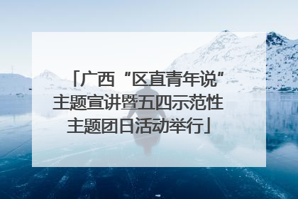 广西“区直青年说”主题宣讲暨五四示范性主题团日活动举行
