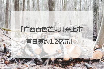 广西百色芒果开采上市 首日签约1.2亿元