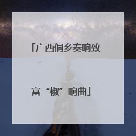 广西侗乡奏响致富“椒”响曲