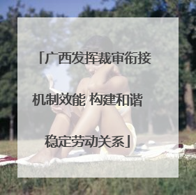 广西发挥裁审衔接机制效能 构建和谐稳定劳动关系