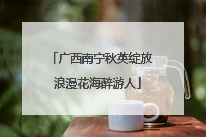 广西南宁秋英绽放 浪漫花海醉游人
