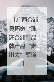 广西合浦县拓宽“珠还合浦”品牌产品“走出去”渠道