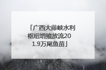 广西大藤峡水利枢纽增殖放流201.9万尾鱼苗