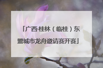广西·桂林（临桂）东盟城市龙舟邀请赛开赛
