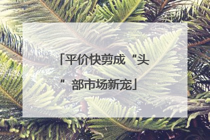 平价快剪成“头”部市场新宠