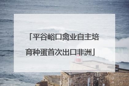 平谷峪口禽业自主培育种蛋首次出口非洲