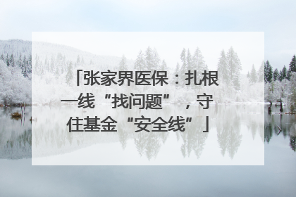 张家界医保：扎根一线“找问题”，守住基金“安全线”