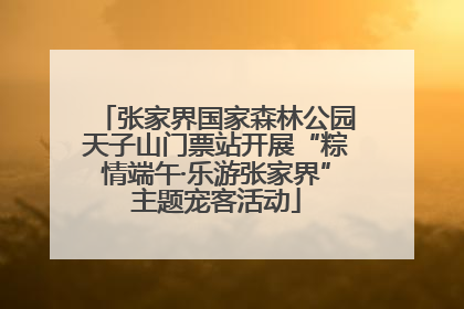 张家界国家森林公园天子山门票站开展“粽情端午·乐游张家界”主题宠客活动