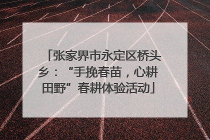 张家界市永定区桥头乡：“手挽春苗，心耕田野”春耕体验活动