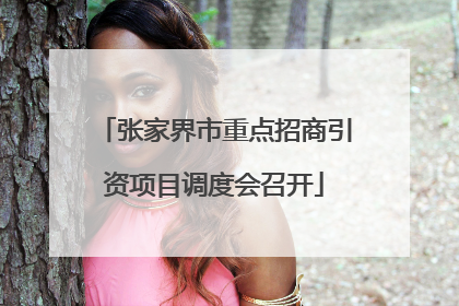 张家界市重点招商引资项目调度会召开