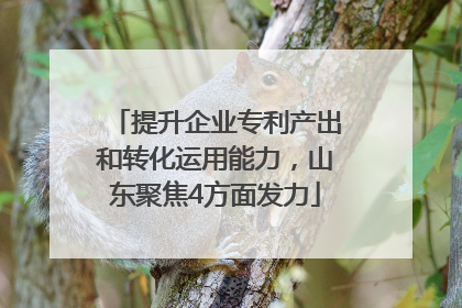 提升企业专利产出和转化运用能力，山东聚焦4方面发力