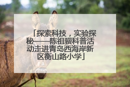 探索科技，实验探秘——陈祖骥科普活动走进青岛西海岸新区衡山路小学