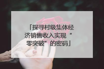 探寻村级集体经济销售收入实现“零突破”的密码