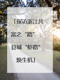 探访浙江共富之“路”：县城“虾路”焕生机