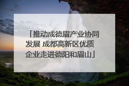 推动成德眉产业协同发展 成都高新区优质企业走进德阳和眉山