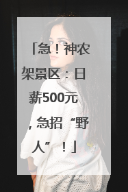 急！神农架景区：日薪500元，急招“野人”！