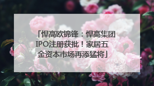 悍高欧锦锋：悍高集团IPO注册获批！家居五金资本市场再添猛将
