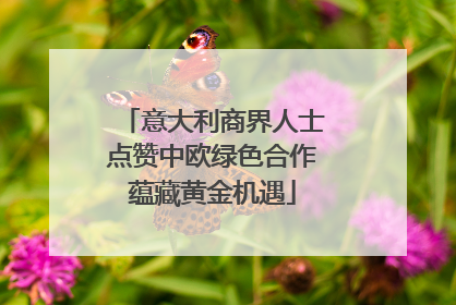 意大利商界人士点赞中欧绿色合作蕴藏黄金机遇