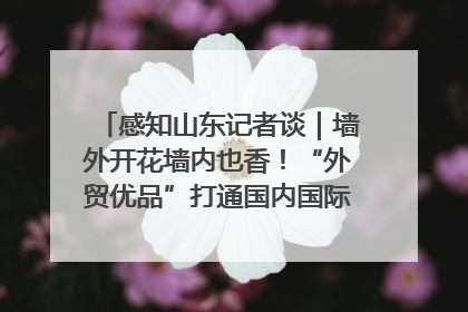 感知山东记者谈｜墙外开花墙内也香！“外贸优品”打通国内国际市场“旋转门”