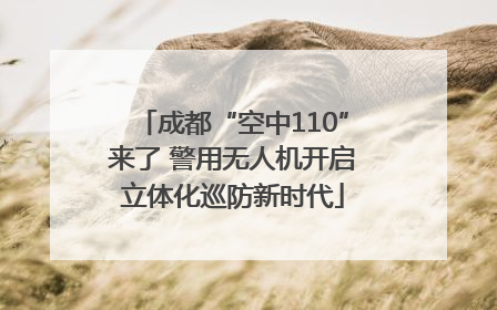 成都“空中110”来了 警用无人机开启立体化巡防新时代