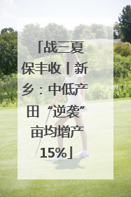战三夏 保丰收丨新乡：中低产田“逆袭” 亩均增产15%