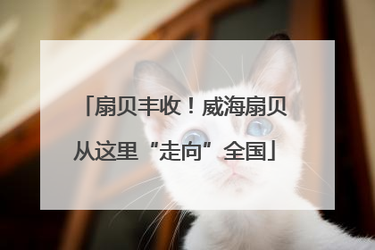 扇贝丰收！威海扇贝从这里“走向”全国