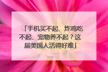 手机买不起、炸鸡吃不起、宠物养不起？这届美国人活得好难