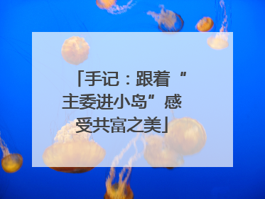 手记：跟着“主委进小岛”感受共富之美