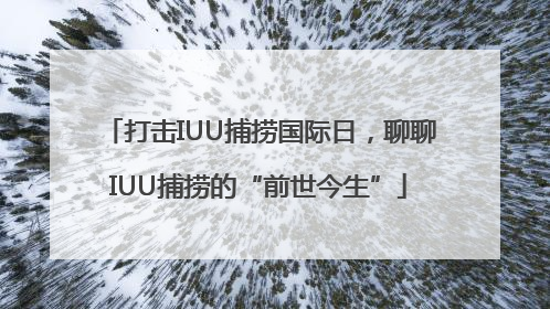 打击IUU捕捞国际日，聊聊IUU捕捞的“前世今生”