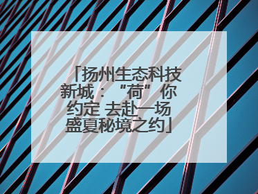 扬州生态科技新城：“荷”你约定 去赴一场盛夏秘境之约