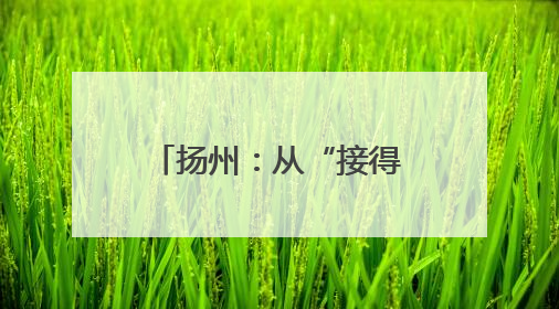 扬州：从“接得住”到“留得下” 北山小镇解锁全域旅游新打法