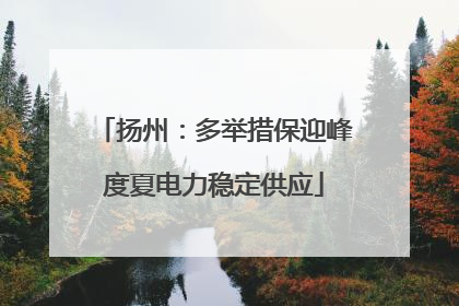 扬州：多举措保迎峰度夏电力稳定供应