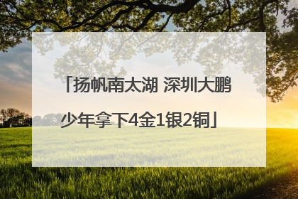 扬帆南太湖 深圳大鹏少年拿下4金1银2铜