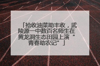 抢收油菜助丰收，武陵源一中数百名师生在黄龙洞生态田园上演“青春助农记”