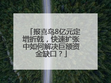 报喜鸟8亿元定增折戟，快速扩张中如何解决巨额资金缺口？
