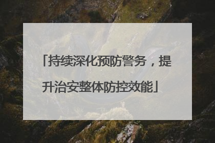 持续深化预防警务，提升治安整体防控效能