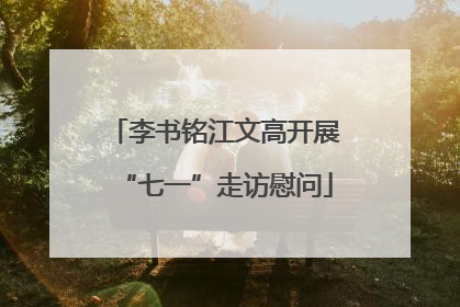 李书铭江文高开展“七一”走访慰问
