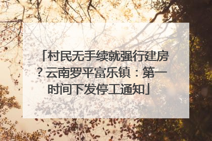村民无手续就强行建房？云南罗平富乐镇：第一时间下发停工通知