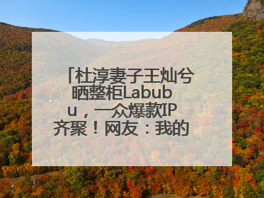 杜淳妻子王灿兮晒整柜Labubu，一众爆款IP齐聚！网友：我的 “梦中情柜”