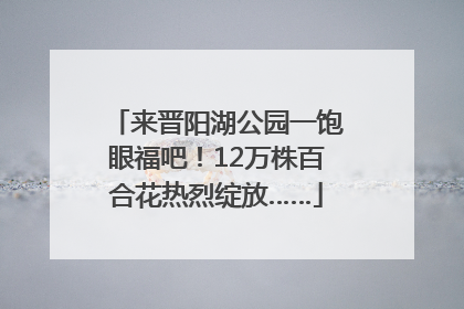 来晋阳湖公园一饱眼福吧！12万株百合花热烈绽放……