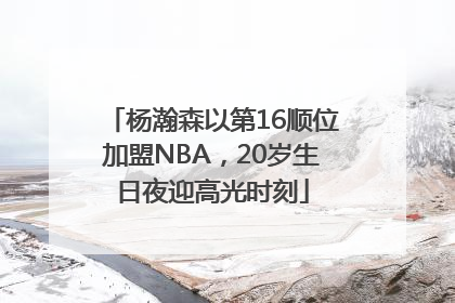 杨瀚森以第16顺位加盟NBA，20岁生日夜迎高光时刻