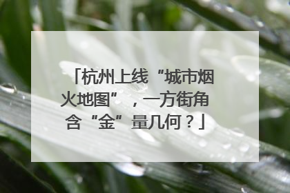 杭州上线“城市烟火地图”，一方街角含“金”量几何？