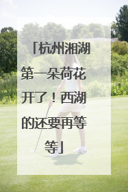 杭州湘湖第一朵荷花开了！西湖的还要再等等