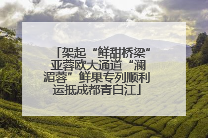 架起“鲜甜桥梁” 亚蓉欧大通道“澜湄蓉”鲜果专列顺利运抵成都青白江